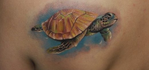 Tatuaggio Tartaruga