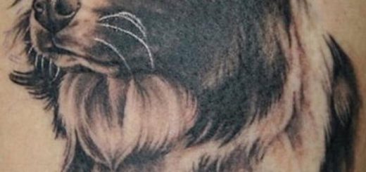 Tatuaggio Cane