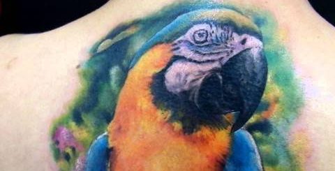 Tatuaggio Pappagallo
