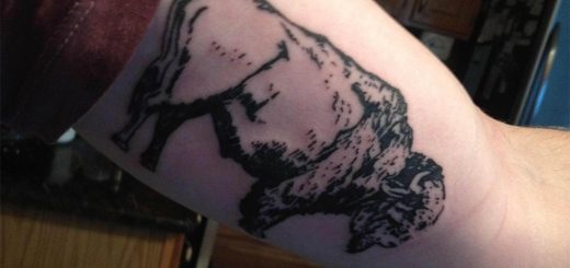 Bufalo Gnu Tatuaggio