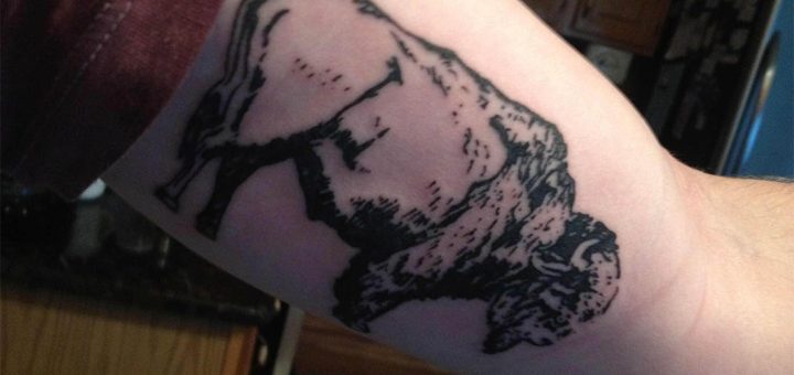 Bufalo Gnu Tatuaggio