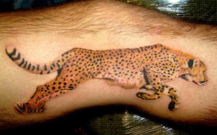 Tatuaggio Ghepardo